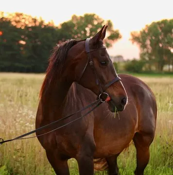 移动设备用户使用APP查看数据
